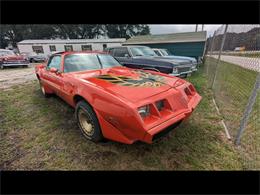 1980 Pontiac Firebird Trans Am (CC-1869261) for sale in Gray Court, South Carolina