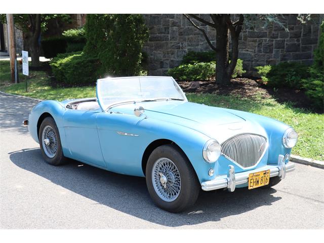 1956 Austin-Healey 100-4 (CC-1869365) for sale in ASTORIA, New York