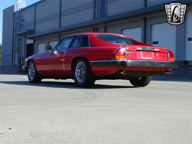 1983 Jaguar XJS for Sale | ClassicCars.com | CC-1869427