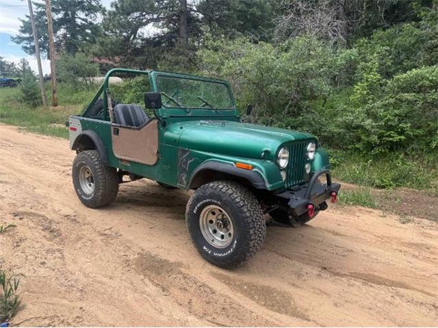 1978 Jeep CJ7 (CC-1869484) for sale in Cadillac, Michigan