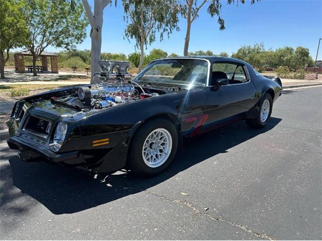 1975 Pontiac Firebird Trans Am (CC-1869492) for sale in Cadillac, Michigan