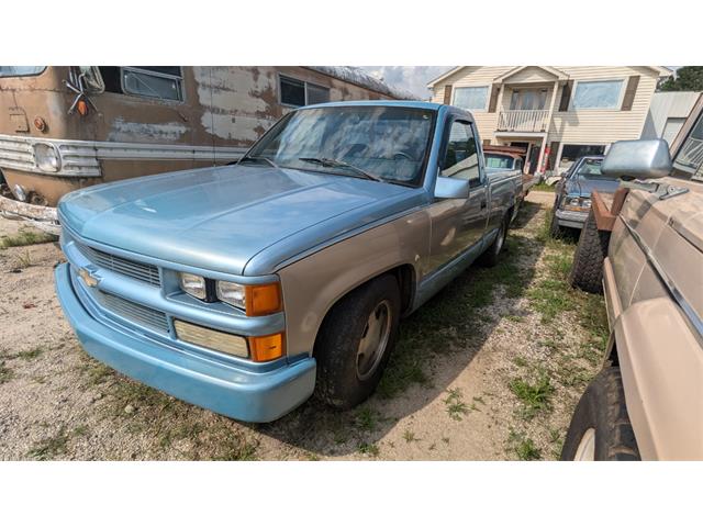 1989 Chevrolet 1/2-Ton Pickup (CC-1869590) for sale in Gray Court, South Carolina