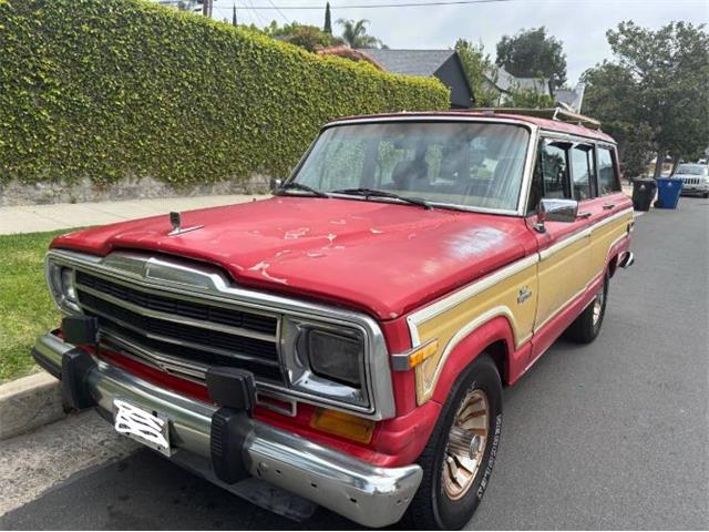 1986 Jeep Grand Wagoneer (CC-1860967) for sale in Cadillac, Michigan