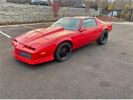 1990 Pontiac Firebird (CC-1869816) for sale in Cadillac, Michigan