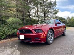 2014 Ford Mustang (CC-1869829) for sale in Cadillac, Michigan