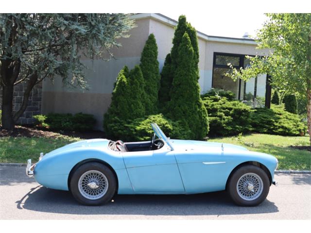 1956 Austin-Healey 100-4 (CC-1869851) for sale in Astoria, New York