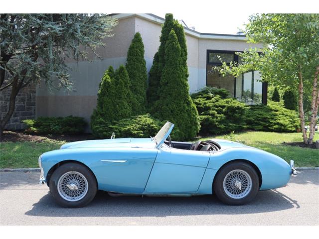 1956 Austin-Healey 100-4 (CC-1869851) for sale in Astoria, New York