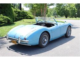1956 Austin-Healey 100-4 (CC-1869851) for sale in Astoria, New York