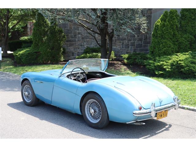 1956 Austin-Healey 100-4 (CC-1869851) for sale in Astoria, New York