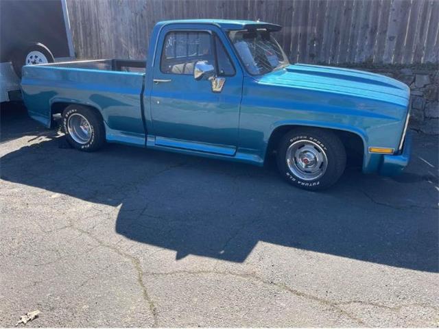 1982 Chevrolet C10 (CC-1860989) for sale in Cadillac, Michigan