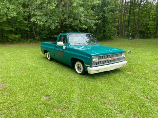 1981 Chevrolet C10 (CC-1860994) for sale in Cadillac, Michigan