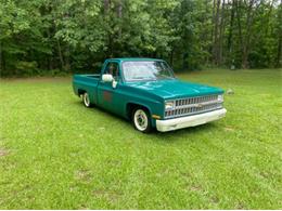 1981 Chevrolet C10 (CC-1860994) for sale in Cadillac, Michigan