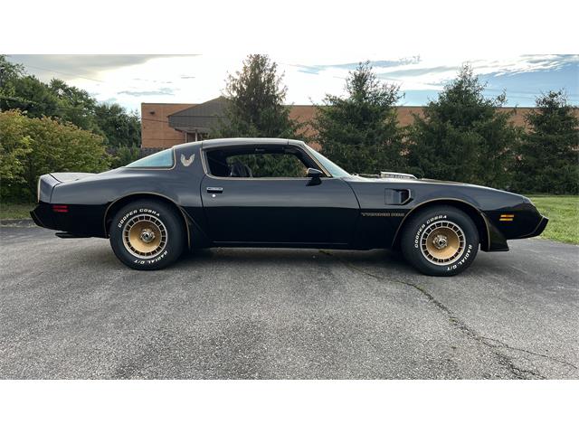 1981 Pontiac Firebird Trans Am (CC-1871026) for sale in MILFORD, Ohio