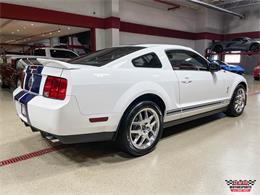 2007 Shelby GT500 (CC-1871594) for sale in Glen Ellyn, Illinois