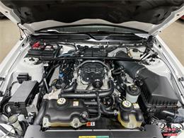 2007 Shelby GT500 (CC-1871594) for sale in Glen Ellyn, Illinois
