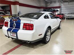 2007 Shelby GT500 (CC-1871594) for sale in Glen Ellyn, Illinois