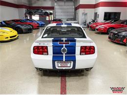 2007 Shelby GT500 (CC-1871594) for sale in Glen Ellyn, Illinois
