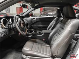 2007 Shelby GT500 (CC-1871594) for sale in Glen Ellyn, Illinois