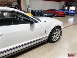 2007 Shelby GT500 (CC-1871594) for sale in Glen Ellyn, Illinois