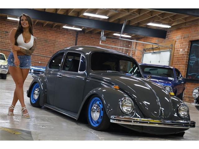 1969 Volkswagen Beetle (CC-1871600) for sale in St. Louis, Missouri