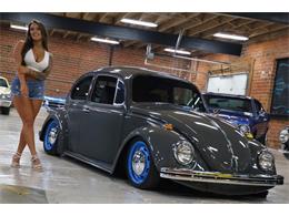 1969 Volkswagen Beetle (CC-1871600) for sale in St. Louis, Missouri