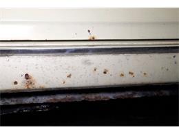 1968 Chevrolet Corvair (CC-1870164) for sale in Morgantown, Pennsylvania