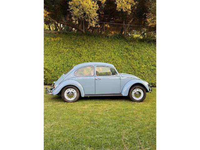 1967 Volkswagen Beetle (CC-1871742) for sale in Cadillac, Michigan