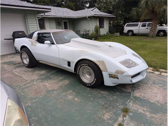 1981 Chevrolet Corvette (CC-1871745) for sale in Cadillac, Michigan