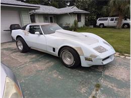 1981 Chevrolet Corvette (CC-1871745) for sale in Cadillac, Michigan