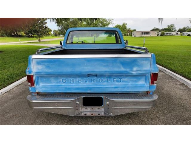 1977 Chevrolet Silverado (CC-1871766) for sale in Cadillac, Michigan