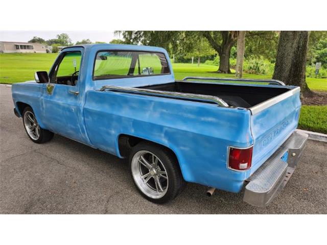 1977 Chevrolet Silverado (CC-1871766) for sale in Cadillac, Michigan
