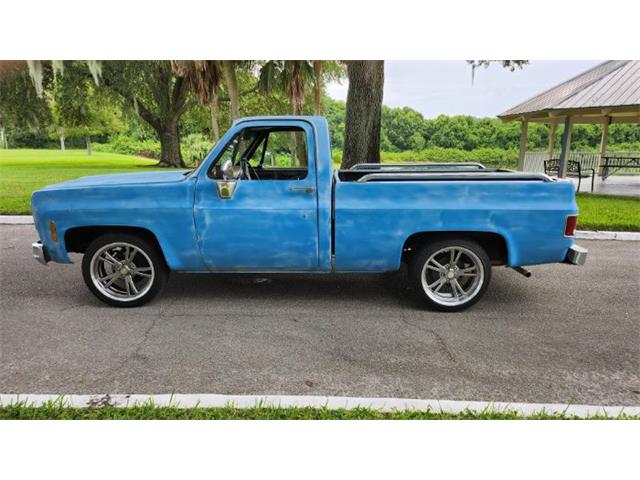 1977 Chevrolet Silverado (CC-1871766) for sale in Cadillac, Michigan