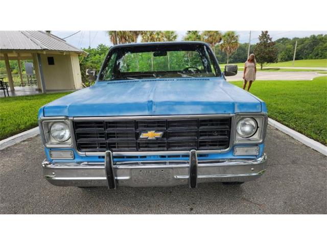 1977 Chevrolet Silverado (CC-1871766) for sale in Cadillac, Michigan
