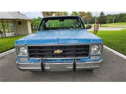 1977 Chevrolet Silverado (CC-1871766) for sale in Cadillac, Michigan