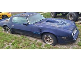 1976 Pontiac Firebird (CC-1871789) for sale in Cadillac, Michigan