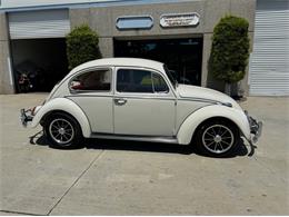 1966 Volkswagen Beetle (CC-1872098) for sale in Spring Valley, California