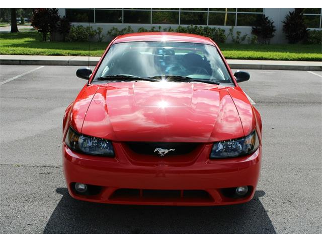 2001 Ford Mustang (CC-1872589) for sale in O'Fallon, Illinois