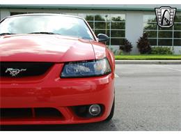 2001 Ford Mustang (CC-1872589) for sale in O'Fallon, Illinois