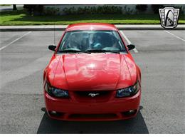 2001 Ford Mustang (CC-1872589) for sale in O'Fallon, Illinois