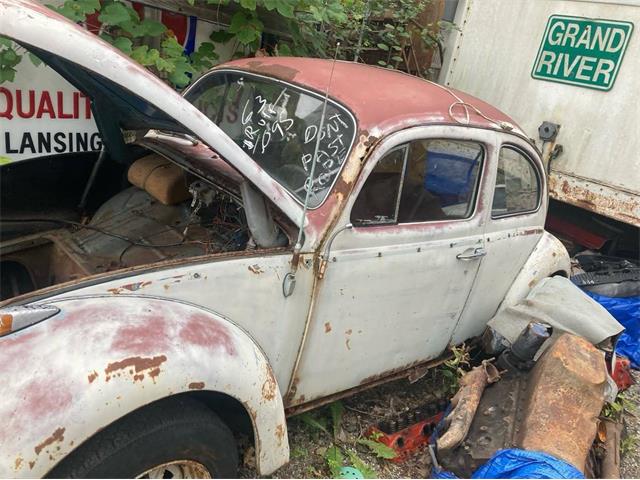 1965 Volkswagen Beetle (CC-1872613) for sale in Jackson, Michigan