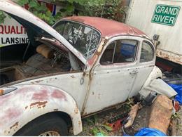 1965 Volkswagen Beetle (CC-1872613) for sale in Jackson, Michigan