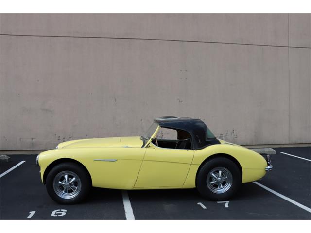 1954 Austin-Healey 100-4 (CC-1872908) for sale in Astoria, New York