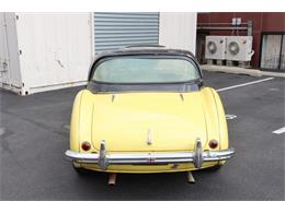 1954 Austin-Healey 100-4 (CC-1872908) for sale in Astoria, New York