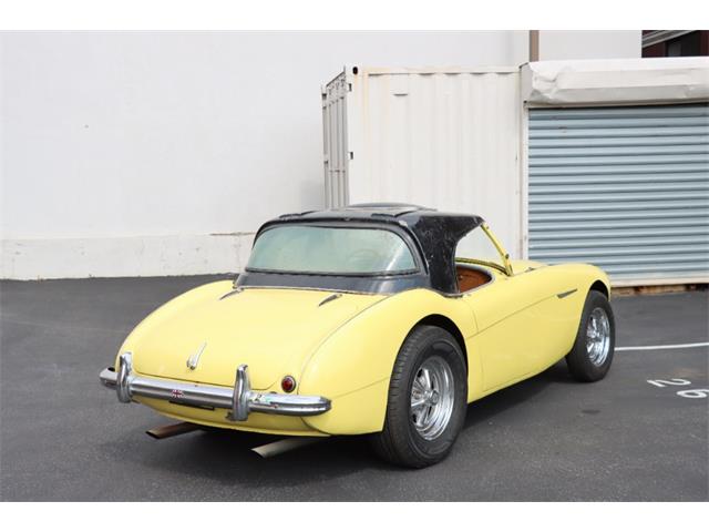 1954 Austin-Healey 100-4 (CC-1872908) for sale in Astoria, New York