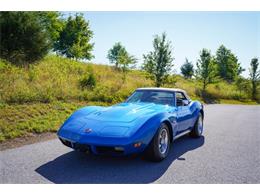 1974 Chevrolet Corvette (CC-1873010) for sale in Orwigsburg, Pennsylvania