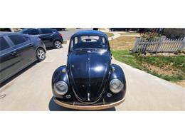 1966 Volkswagen Beetle (CC-1873131) for sale in Cadillac, Michigan