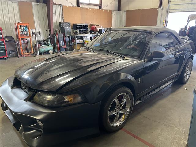 1999 Ford Mustang SVT Cobra (CC-1873354) for sale in Grand Junction, Colorado