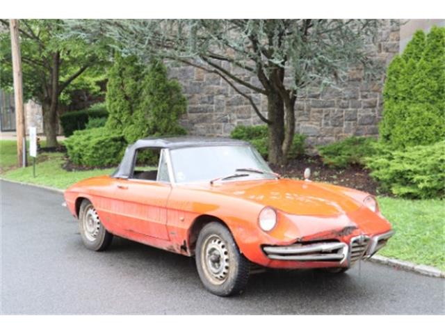 1966 Alfa Romeo Duetto (CC-1873808) for sale in Astoria, New York