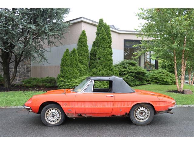 1966 Alfa Romeo Duetto (CC-1873808) for sale in Astoria, New York
