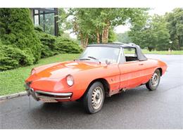 1966 Alfa Romeo Duetto (CC-1873808) for sale in Astoria, New York